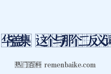 华盖集·这个与那个二反义词是什么意思的图片